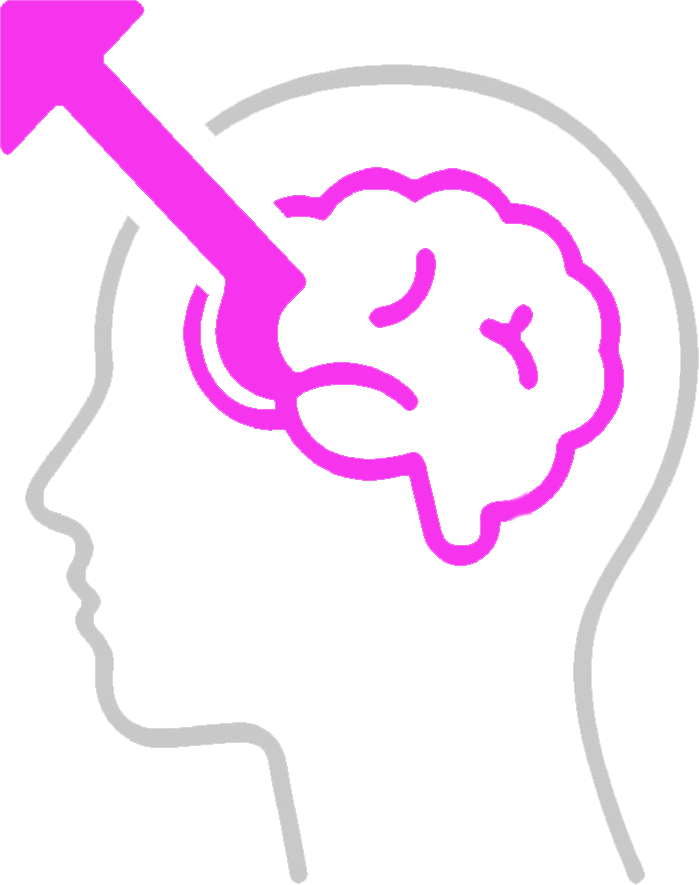 MINDSET module icon